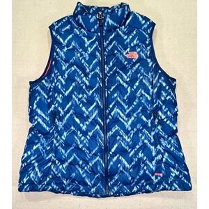The North Face Blue and White Vest